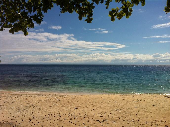 Listing ID: URE0548, Jack Neil Beach Utila, Bay Islands, HN - Beach Front At Jack Neil, Photo #