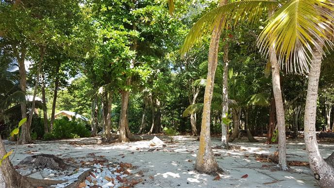 Listing ID: URE0548, Jack Neil Beach Utila, Bay Islands, HN - Beach Front At Jack Neil, Photo #