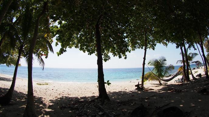 Listing ID: URE0548, Jack Neil Beach Utila, Bay Islands, HN - Beach Front At Jack Neil, Photo #
