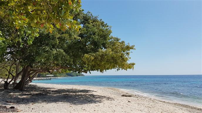 Listing ID: URE0548, Jack Neil Beach Utila, Bay Islands, HN - Beach Front At Jack Neil, Photo #
