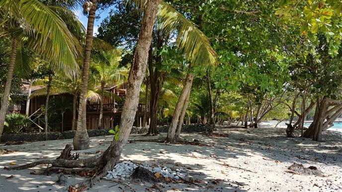 Listing ID: URE0548, Jack Neil Beach Utila, Bay Islands, HN - Beach Front At Jack Neil, Photo #
