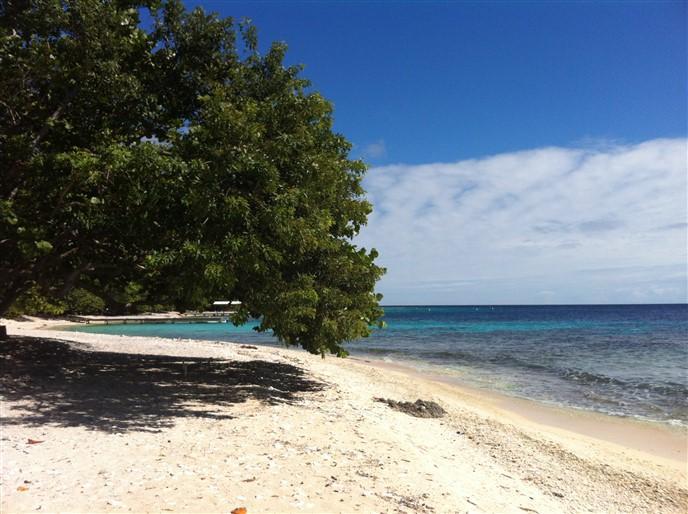 Listing ID: URE0548, Jack Neil Beach Utila, Bay Islands, HN - Beach Front At Jack Neil, Photo #