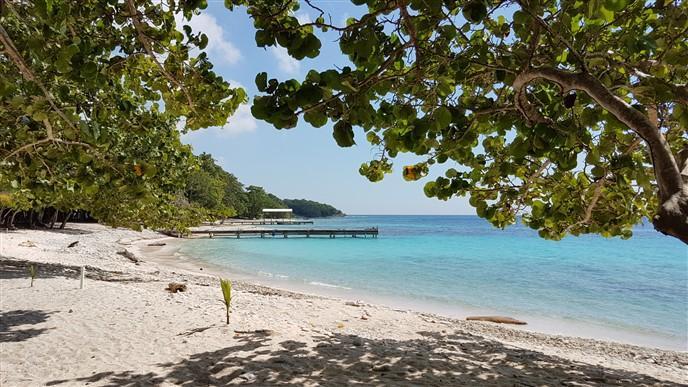 Listing ID: URE0548, Jack Neil Beach Utila, Bay Islands, HN - Beach Front At Jack Neil, Photo #