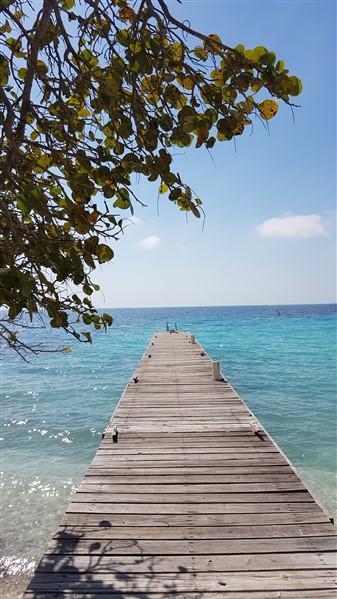 Lot Sold - Utila, Bay Islands - Listing ID: URE0548 - Photo