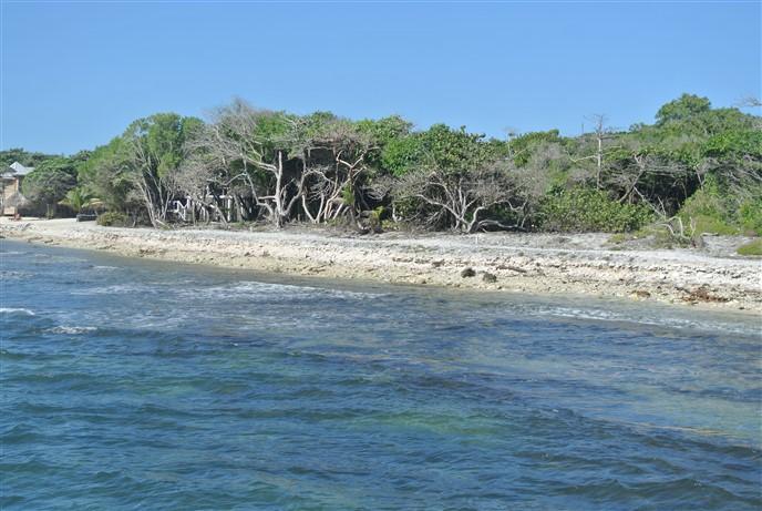 Lot Sold - Utila, Bay Islands - Listing ID: URE0549 - Photo
