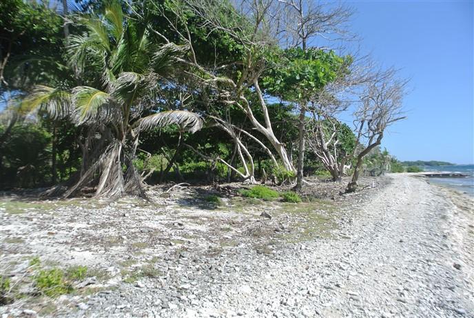 Listing ID: URE0549, Big Rock Utila, Bay Islands, HN - Big Rock Beach Front, Photo #