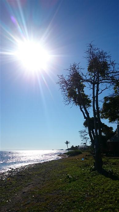 Listing ID: URE0551, Coral Beach Village - South Shore Utila, Bay Islands, HN - Price Reduced For Beach Front At Cbv, Photo #