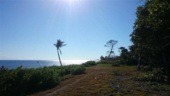 Lot Sold - Utila, Bay Islands - Listing ID: URE0552 - Photo