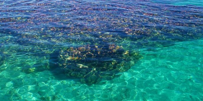 Lot Sold - Utila, Bay Islands - Listing ID: URE0559 - Photo