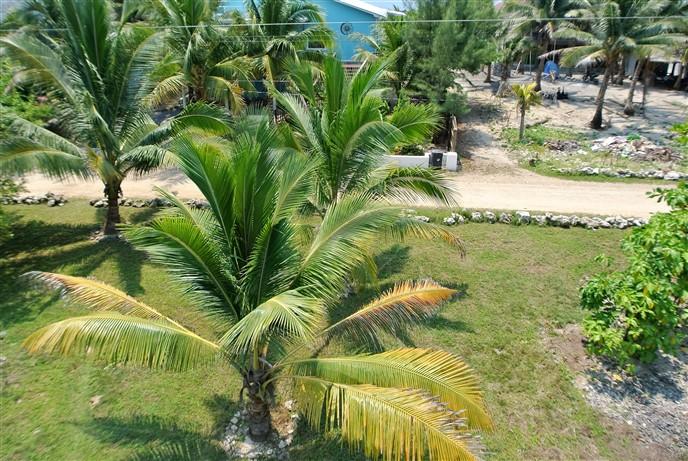 Listing ID: URE0560, Rocky Point Estates Trade Wind Utila, Bay Islands, HN - Ocean View Lot #4 At Trade Wind, Photo #