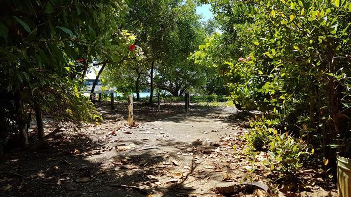 Listing ID: URE0568, Main Street, Sandy Bay Utila, Bay Islands, HN - Beach Front In Town, Photo #