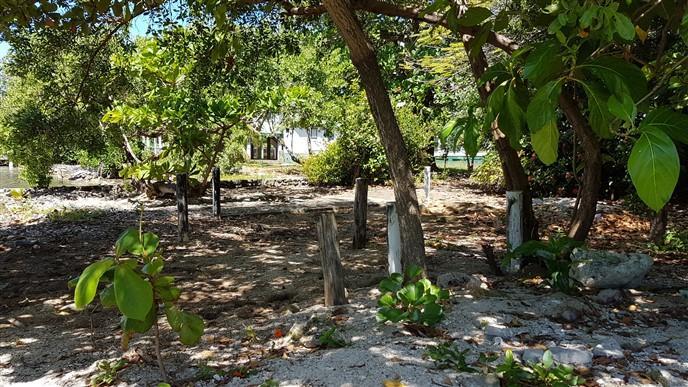 Lot Sold - Utila, Bay Islands - Listing ID: URE0568 - Photo