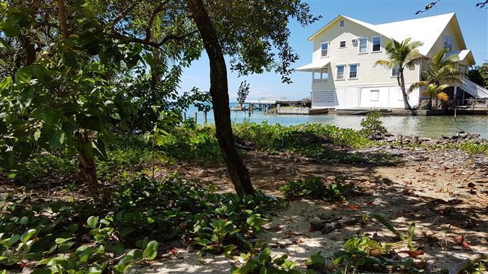 Listing ID: URE0568, Main Street, Sandy Bay Utila, Bay Islands, HN - Beach Front In Town, Photo #