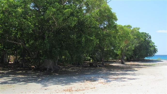 Listing ID: URE0572, The Well Utila, Bay Islands, HN - The Well Beachfront Lot#21, Photo #