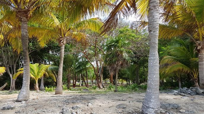 Listing ID: URE0574, Silver Garden Utila, Bay Islands, HN - Ocean Front Lot With Boat Slip At Silver Garden, Photo #