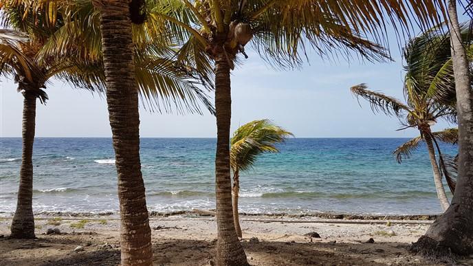 Listing ID: URE0574, Silver Garden Utila, Bay Islands, HN - Ocean Front Lot With Boat Slip At Silver Garden, Photo #