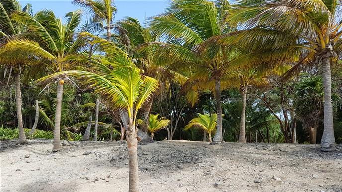 Listing ID: URE0574, Silver Garden Utila, Bay Islands, HN - Ocean Front Lot With Boat Slip At Silver Garden, Photo #