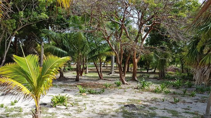 Listing ID: URE0574, Silver Garden Utila, Bay Islands, HN - Ocean Front Lot With Boat Slip At Silver Garden, Photo #