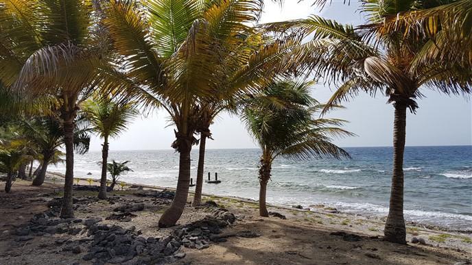 Listing ID: URE0574, Silver Garden Utila, Bay Islands, HN - Ocean Front Lot With Boat Slip At Silver Garden, Photo #