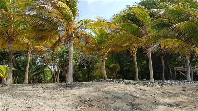 Listing ID: URE0574, Silver Garden Utila, Bay Islands, HN - Ocean Front Lot With Boat Slip At Silver Garden, Photo #