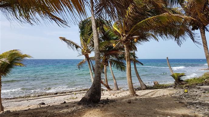 Listing ID: URE0574, Silver Garden Utila, Bay Islands, HN - Ocean Front Lot With Boat Slip At Silver Garden, Photo #