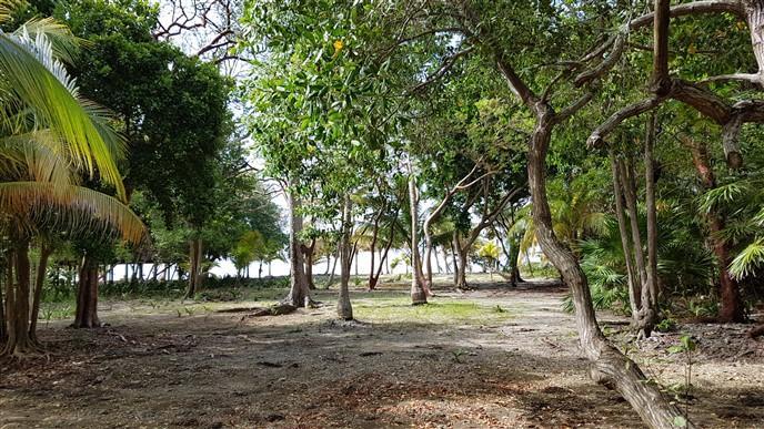 Listing ID: URE0574, Silver Garden Utila, Bay Islands, HN - Ocean Front Lot With Boat Slip At Silver Garden, Photo #