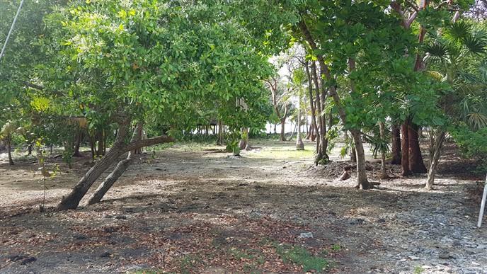Lot Sold - Utila, Bay Islands - Listing ID: URE0574 - Photo