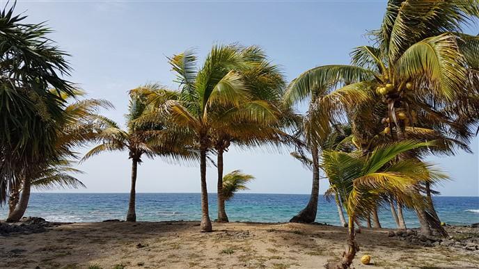 Listing ID: URE0574, Silver Garden Utila, Bay Islands, HN - Ocean Front Lot With Boat Slip At Silver Garden, Photo #