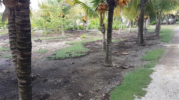 Lot Sold - Utila, Bay Islands - Listing ID: URE0577 - Photo