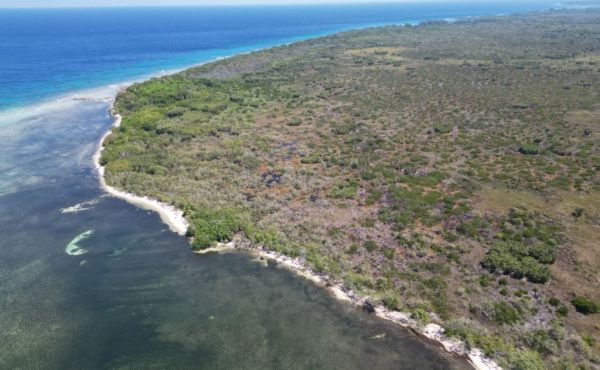 West End 40+ Acres With Beachfront