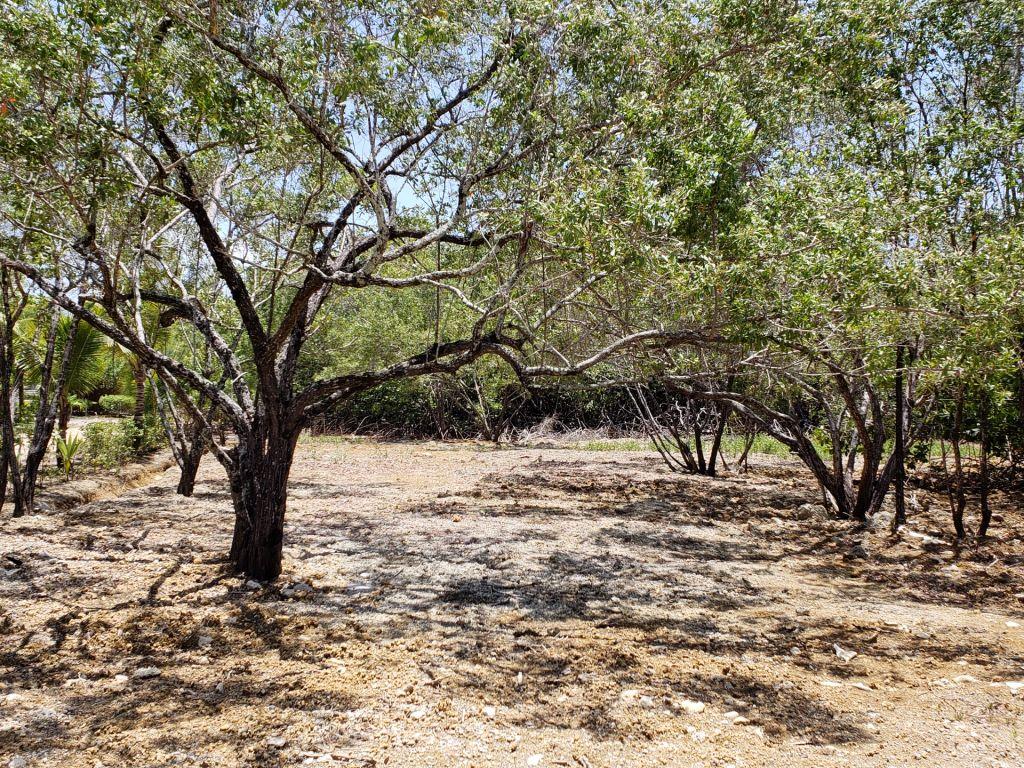 Listing ID: URE0586, Coral Beach Village Utila, Bay Islands, HN - Beach Access Lot At Coral Beach, Photo #