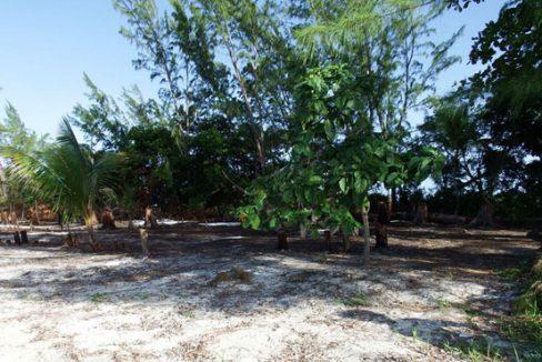 Listing ID: URE0589, Pine Point Utila, Bay Islands, HN - .85 Acre Beachfront At Pine Point (Lot A-15), Photo #
