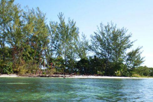 Lot Sold - Utila, Bay Islands - Listing ID: URE0589 - Photo