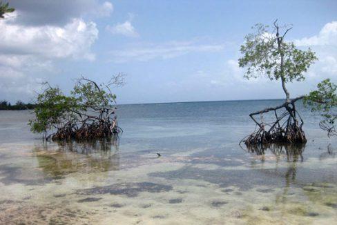 Listing ID: URE0591, Don Quickset Utila, Bay Islands, HN - .28 Acre Beachfront Lot At Don Quickset (Lot #3), Photo #