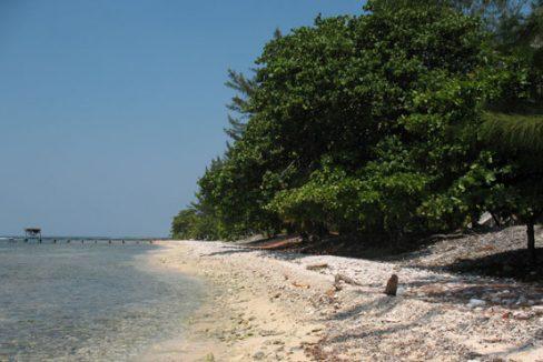 Listing ID: URE0592, Treasure Beach Utila, Bay Islands, HN - 2.14 Acre Beachfront At Treasure Beach With Unfinished House, Photo #