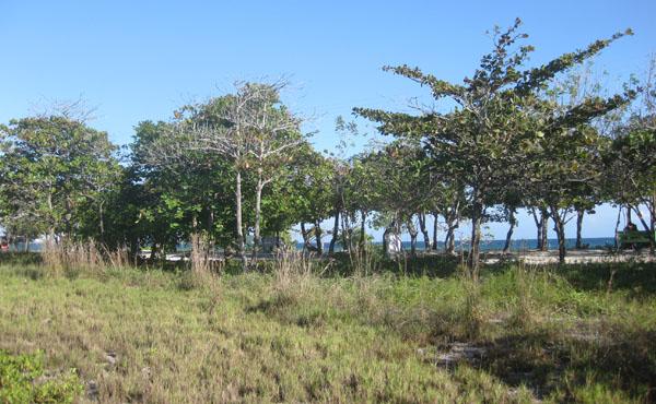 Listing ID: URE0593, Blue Bayou Utila, Bay Islands, HN - 0.93 Acre Oceanview Lot At Blue Bayou, Photo #