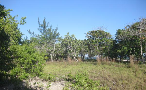 Listing ID: URE0593, Blue Bayou Utila, Bay Islands, HN - 0.93 Acre Oceanview Lot At Blue Bayou, Photo #