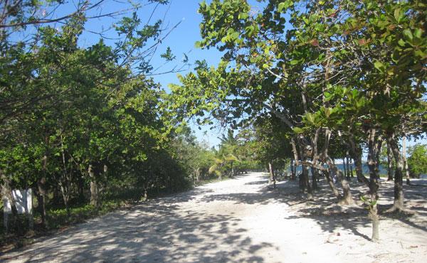 Listing ID: URE0593, Blue Bayou Utila, Bay Islands, HN - 0.93 Acre Oceanview Lot At Blue Bayou, Photo #