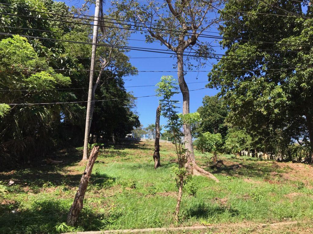 Listing ID: URE0595,  Utila, Bay Islands, HN - Intown Lots In Jericho, Photo #