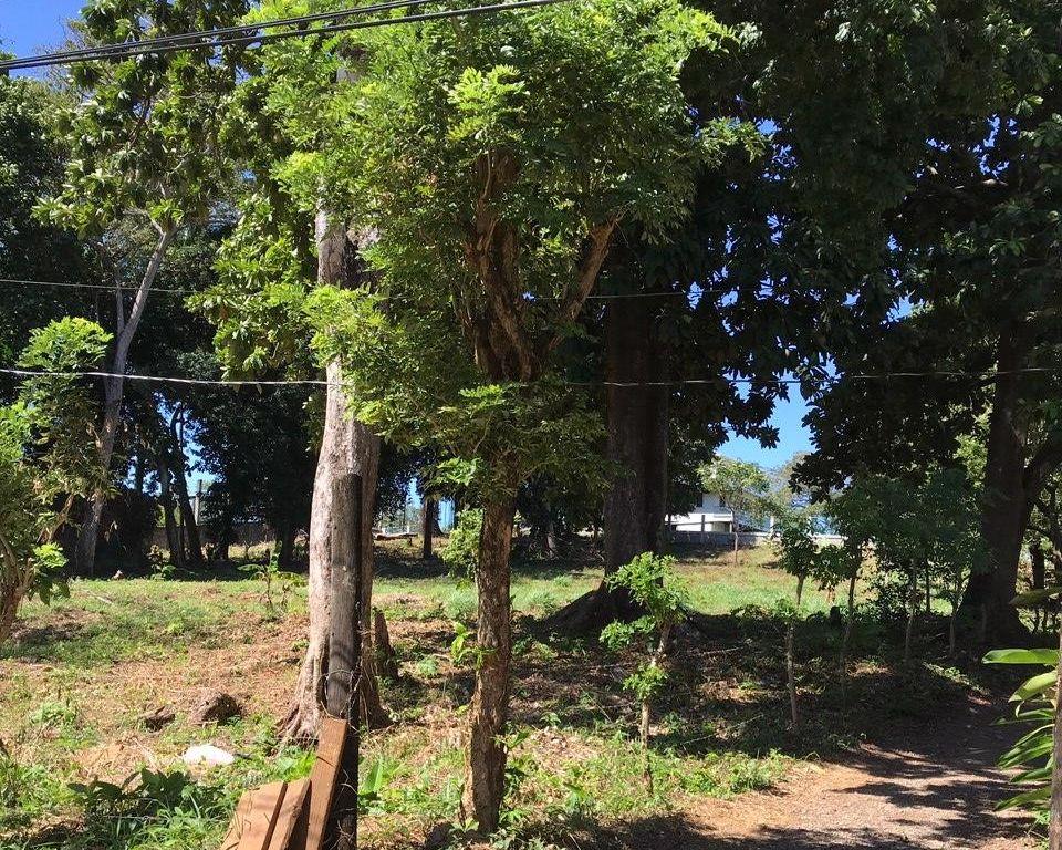 Listing ID: URE0595,  Utila, Bay Islands, HN - Intown Lots In Jericho, Photo #