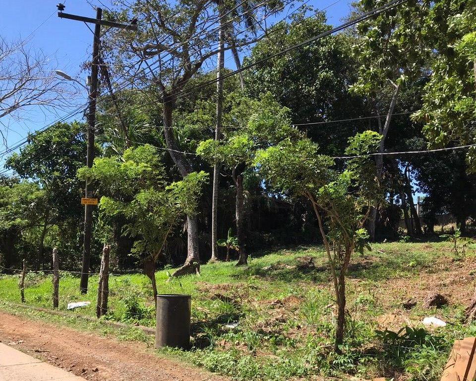 Listing ID: URE0595,  Utila, Bay Islands, HN - Intown Lots In Jericho, Photo #