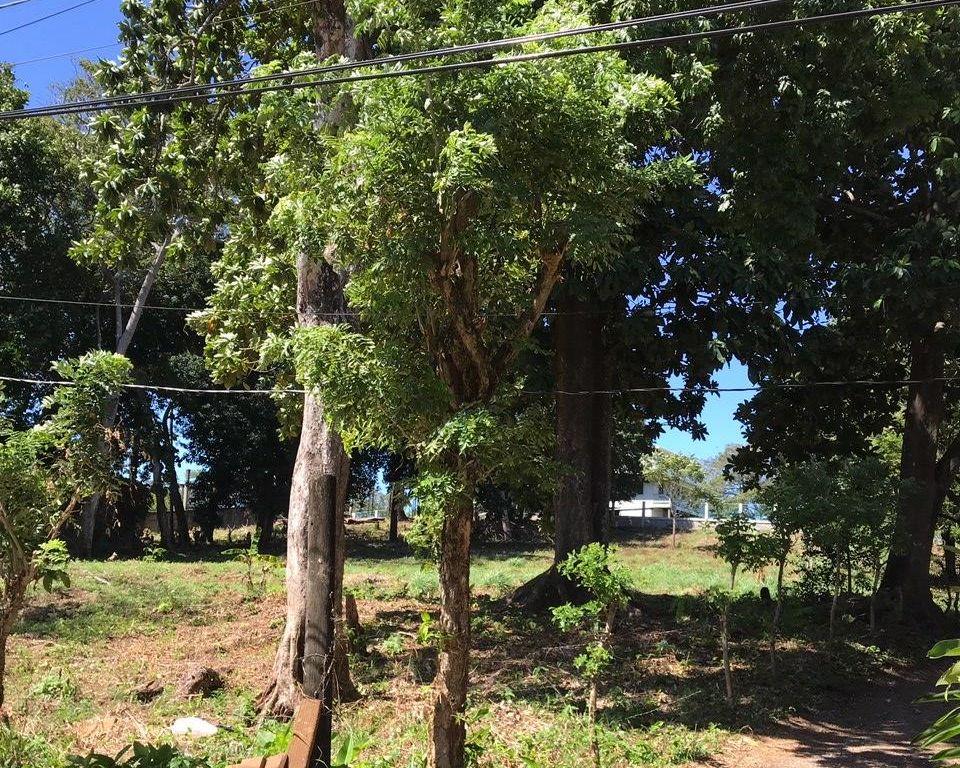 Listing ID: URE0595,  Utila, Bay Islands, HN - Intown Lots In Jericho, Photo #