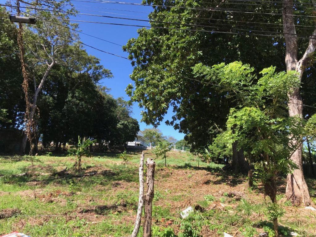 Listing ID: URE0595,  Utila, Bay Islands, HN - Intown Lots In Jericho, Photo #