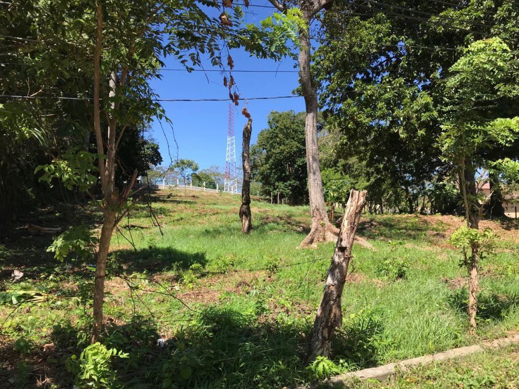Listing ID: URE0595,  Utila, Bay Islands, HN - Intown Lots In Jericho, Photo #