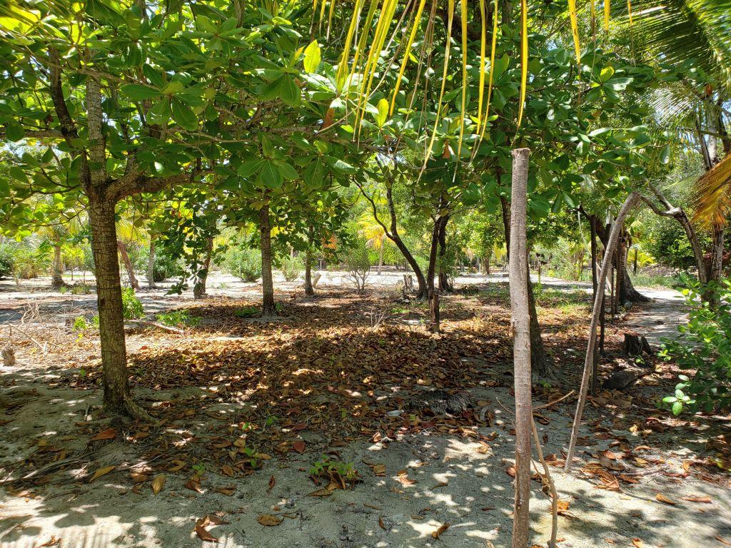 Listing ID: URE0598, Jonathan Point Utila, Bay Islands, HN - Jonathan Point Lot With Peekaboo Ocean View, Photo #