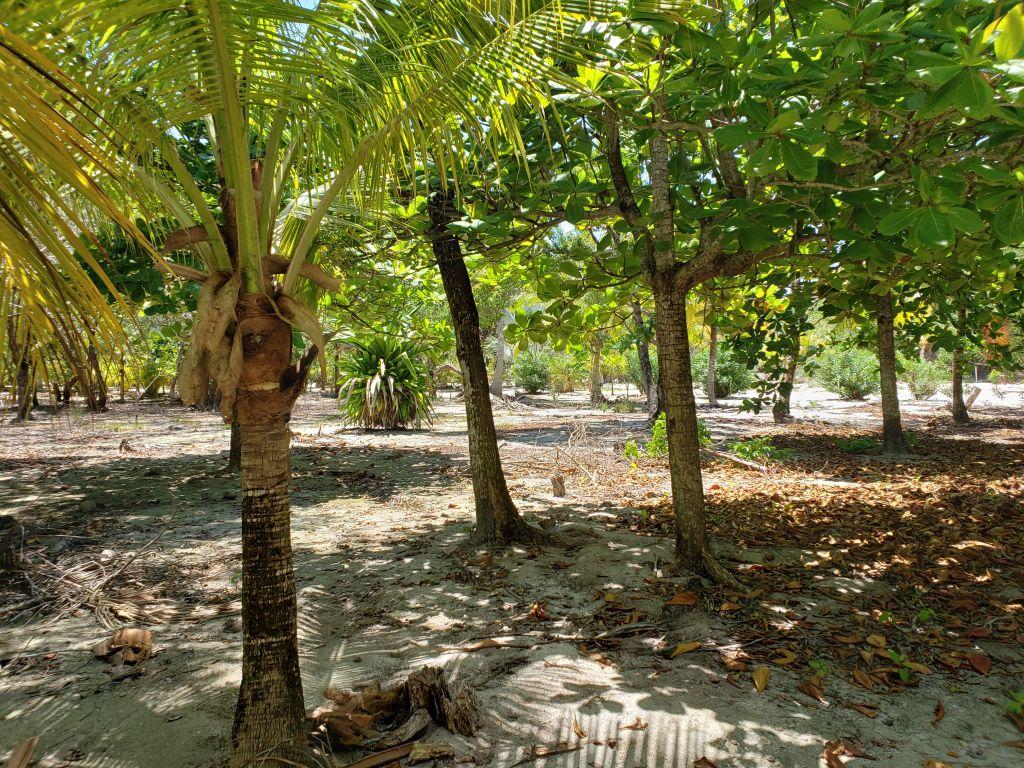 Listing ID: URE0598, Jonathan Point Utila, Bay Islands, HN - Jonathan Point Lot With Peekaboo Ocean View, Photo #