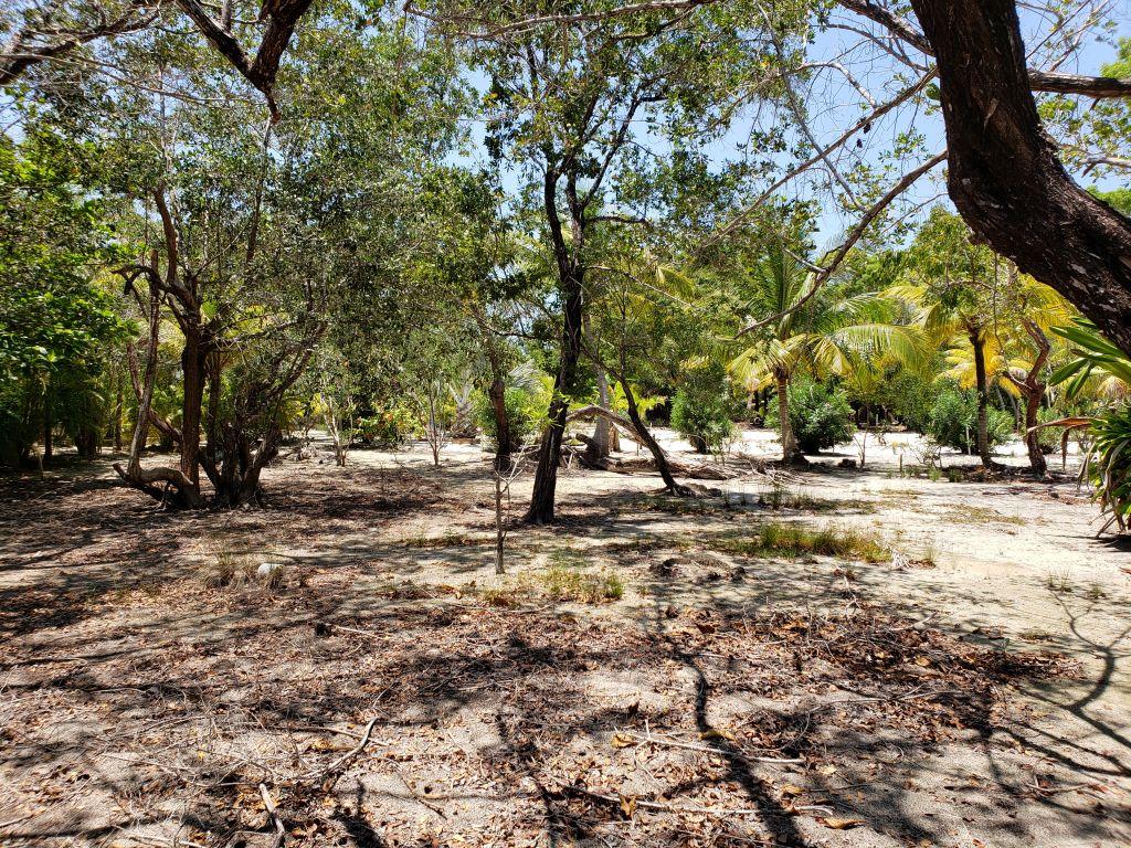 Listing ID: URE0598, Jonathan Point Utila, Bay Islands, HN - Jonathan Point Lot With Peekaboo Ocean View, Photo #