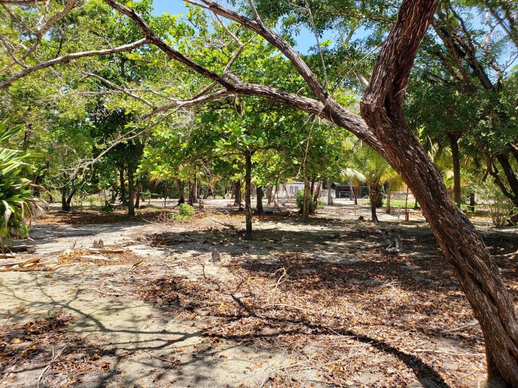 Listing ID: URE0598, Jonathan Point Utila, Bay Islands, HN - Jonathan Point Lot With Peekaboo Ocean View, Photo #