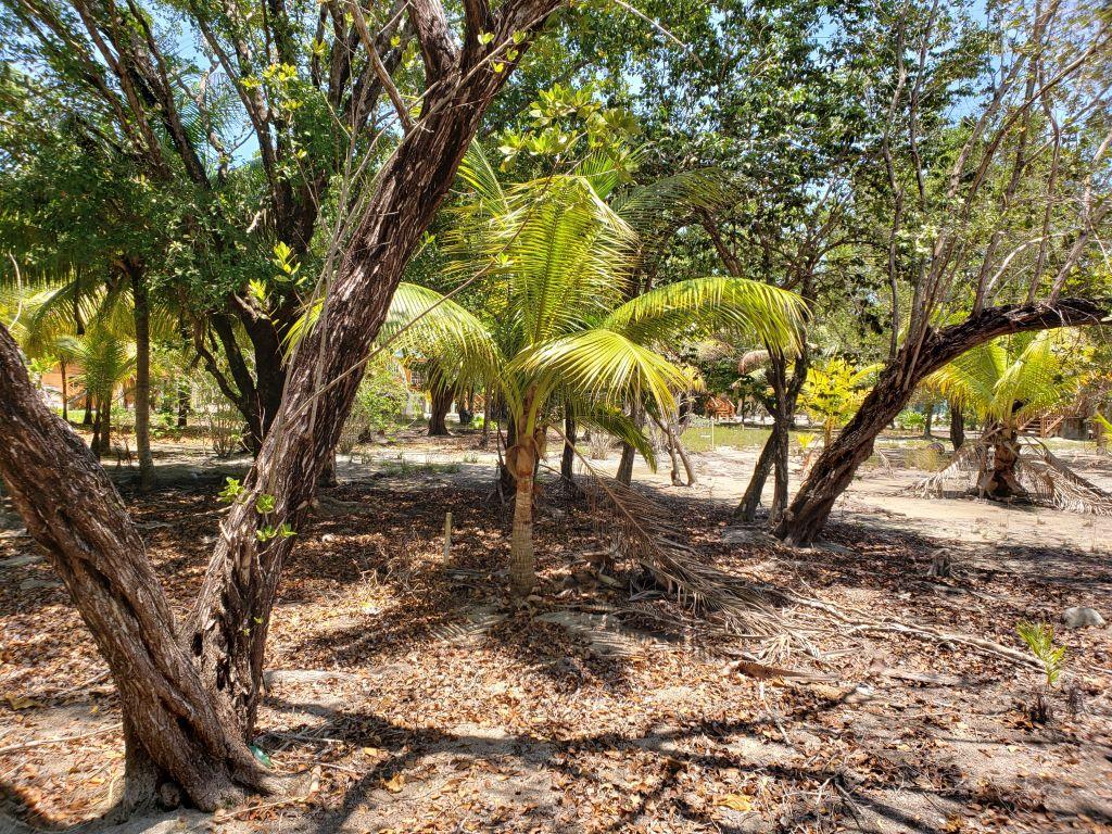 Lot For sale - Utila, Bay Islands - Listing ID: URE0598 - Photo