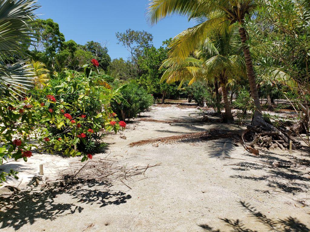 Listing ID: URE0598, Jonathan Point Utila, Bay Islands, HN - Jonathan Point Lot With Peekaboo Ocean View, Photo #